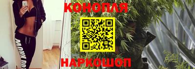 молекула духа Гай